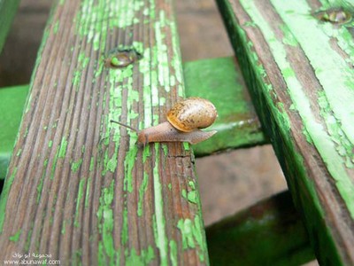 のびのびーーっ07