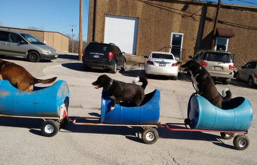 ǯϷ��������겡���֤˾褻��05