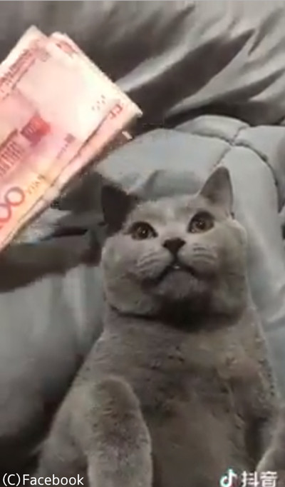 ����򸫤���ȿ��餻�Ƥ����ǭ03