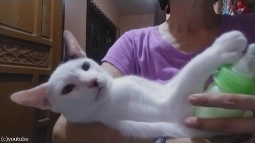 �ߥ륯�������ǰ���˥��03