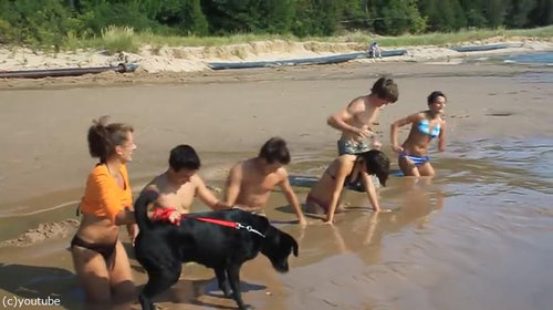 �������ȥ꡼�ຽͷ��03