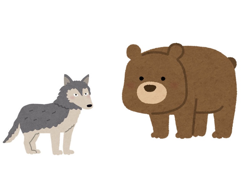 野生のクマとオオカミが一緒に狩りをしていた ラブラブな関係 らばq