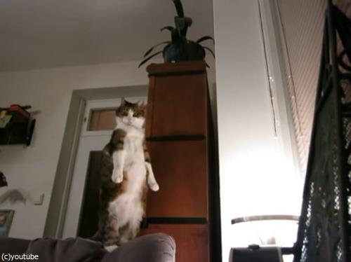 ǤΥ¹¥È¥ì¥Ã¥Á¤ò¤¤¤í¤ó¤Ê³ÑÅÙ¤«¤éį¤á¤Æ¤ß¤¿08