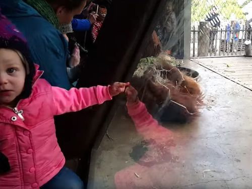 �֥쥤�����󥹤��륪��󥦡�����03