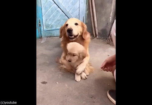 ���ݸ�ʸ�06