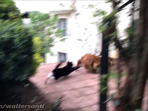 �������줵���ʤ�ǭvs���ꤿ����04