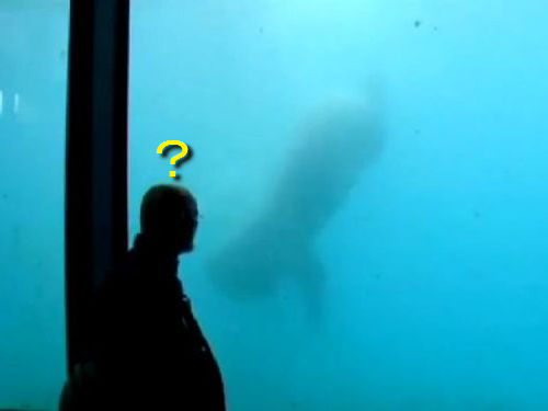 �򥯥ޤ������Ф�Ȥäƥ��饹����00