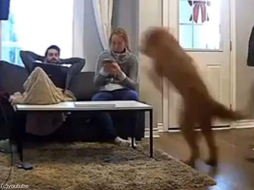 �Ҹ��ε��������緿��01