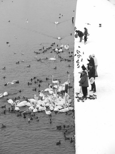 クラクフの冬03