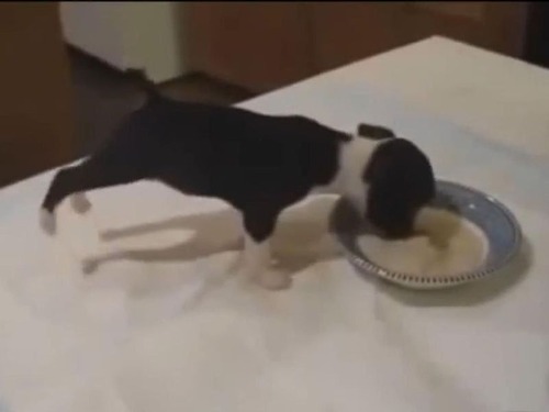 �����򤹤���Τ����Ӥ�Ҹ�02