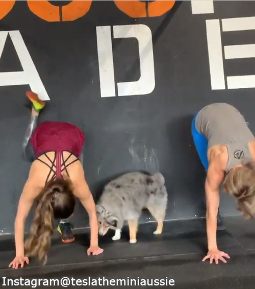 �����Ȱ����δ��ȥ졼�˥�02