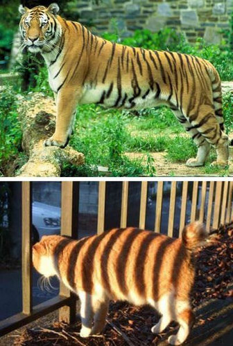 近いけど違う16