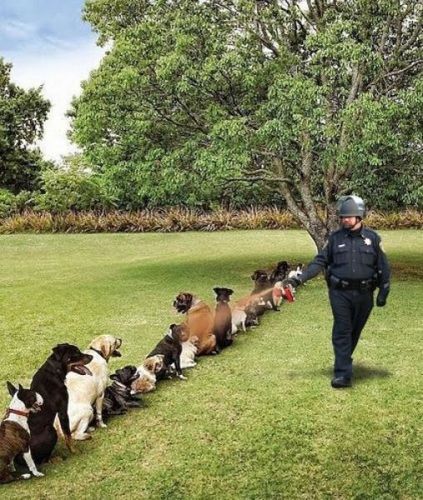 催涙スプレー・パロディ03