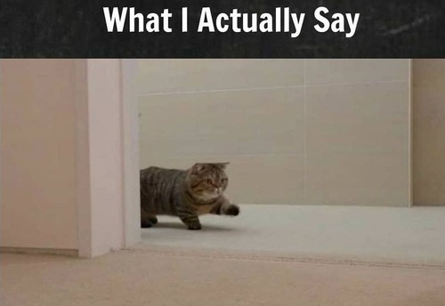 �ºݤε���02