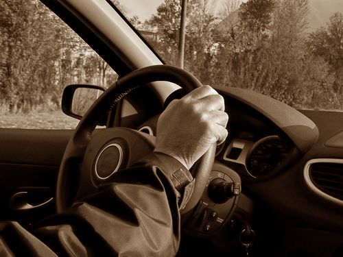 運転の上手さを犬に決めてもらう00