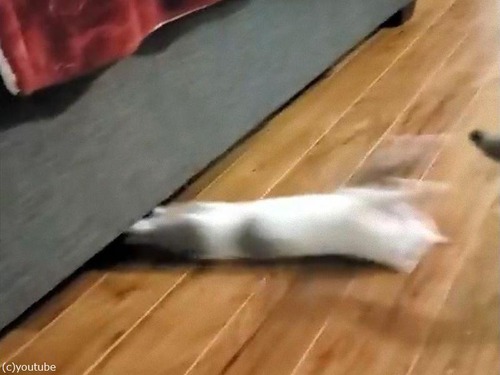 ǭ���դ��˥��饤�ǥ���02