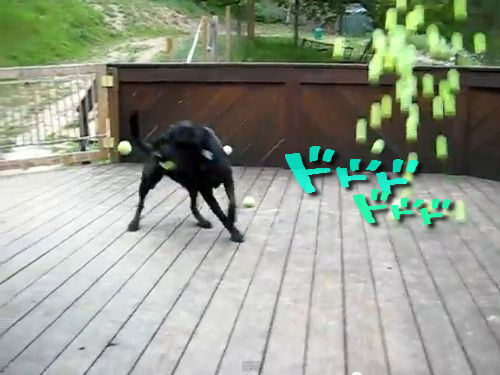 大量のテニスボール