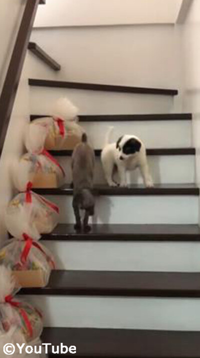 ���ʤ򲼤���ʤ��������뤪�Ф������03