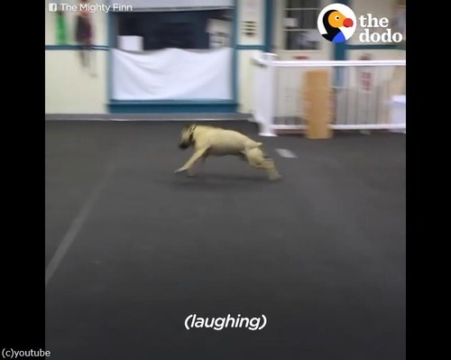 ピザが好きすぎて03