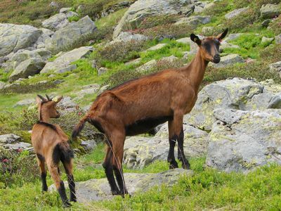 ��������䥮����00