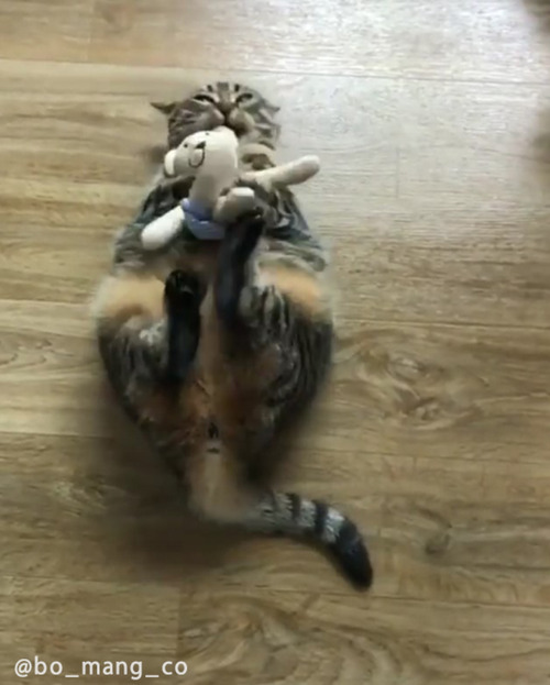 ������㥭��å��ͤ�04