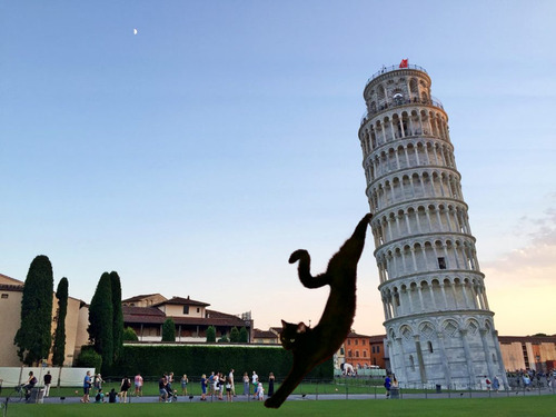 ��ˤΥ��ȥ�å�ǭ09