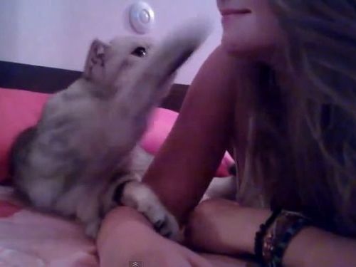 キスを催促する子猫01