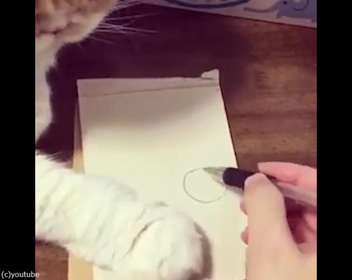 似顔絵を描こうと思ったら01