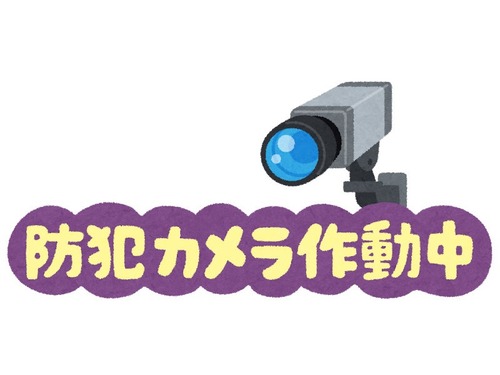 「屋根の上を確認したら、猫たちが防犯カメラの役目を果たしていた…」強力な監視ぶり