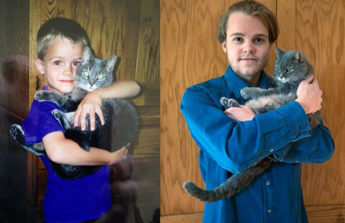 なぜ猫はえらいのか18