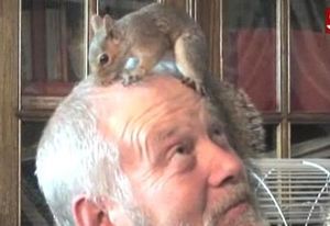 エキゾチックな動物家族04