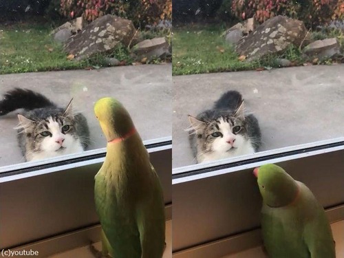 ǭ�ˡ֤��ʤ����ʤ��Ф��פ򤹤륤��01