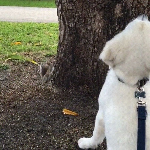 �ڤ򸫾夲�븤�֥ꥹ���ɤ��Ԥä��Τ��ʤ���02