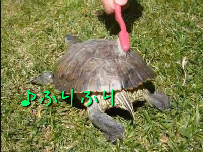 �����ե�ե굵����