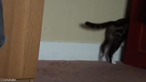 ޥǭ»ҤλǭϢ쵢Ȥ02