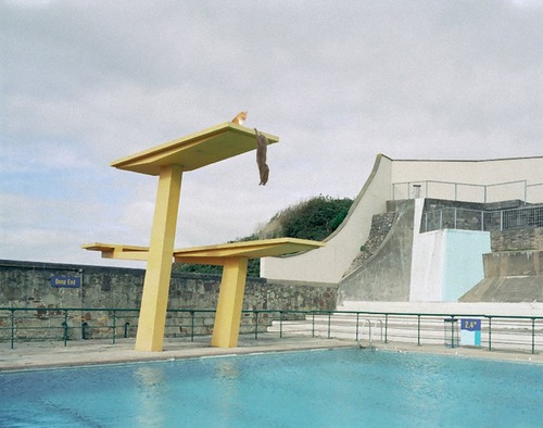 猫のフォトショップバトル05