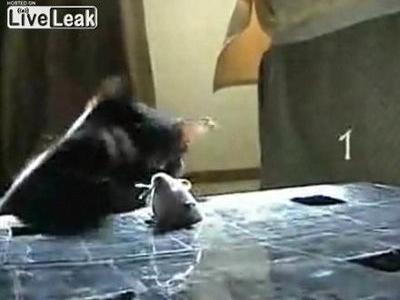 ネズミたたき