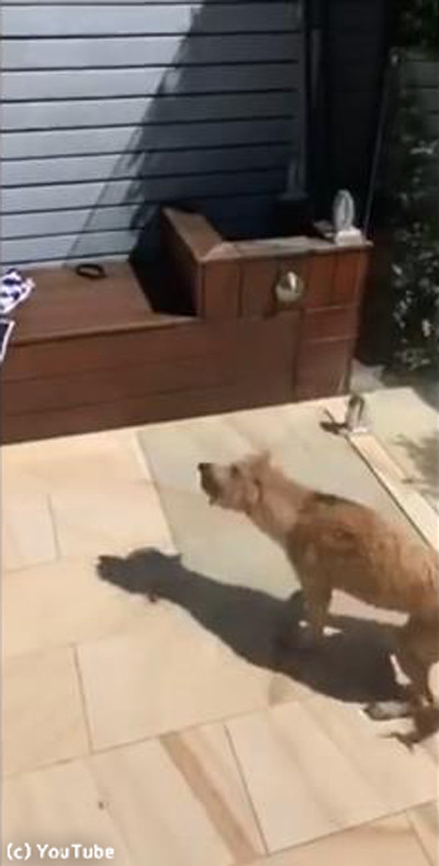 �ס���夬��θ����ʤ�Ƥ���������ġ�01