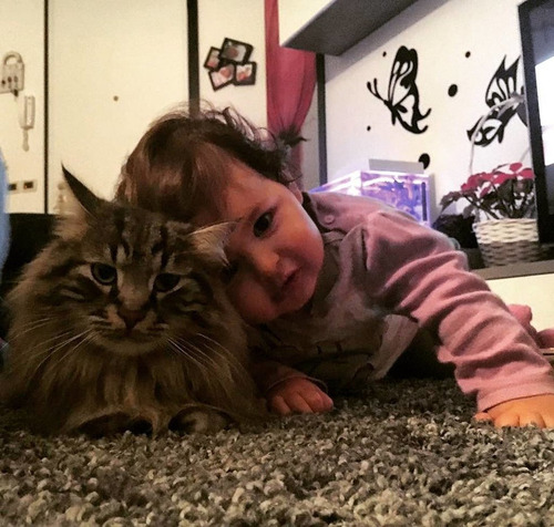 女の子を守る猫12