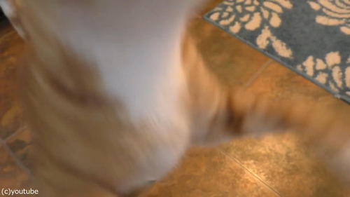 �ۥ��åץ��꡼��򰦤���ǭ08