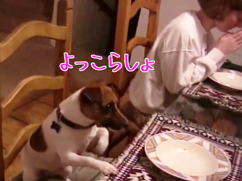 家族の「お祈り」を見て愛犬は…00