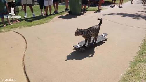 ����������ǭ�����ͥ���Ͽã��03