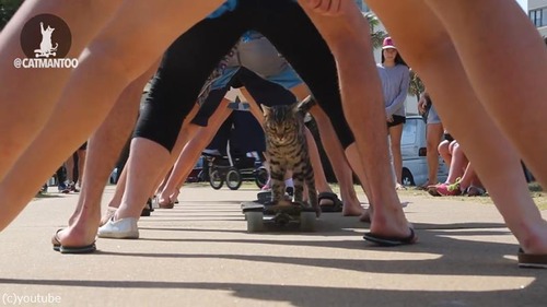 ����������ǭ�����ͥ���Ͽã��04