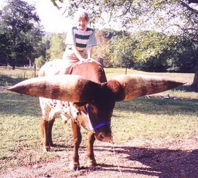 世界一のツノを持つ牛03