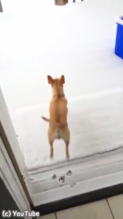 ���ֵ����Ѥ�ä���02