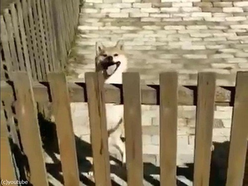 ���ΰ�̣���ʤ���03