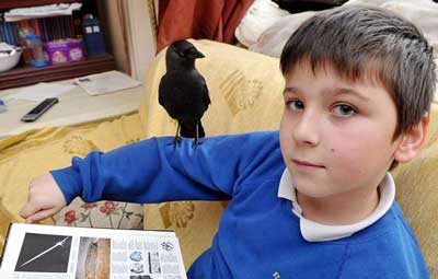 彼は何者 10歳の少年が野生の鳥を手なずける イギリス らばq
