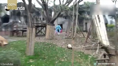 �����������դ���줿�ѥ���Ϥ����ʤ�03