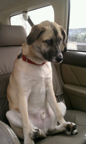 ưʪ�����Τ�����ʤ���14