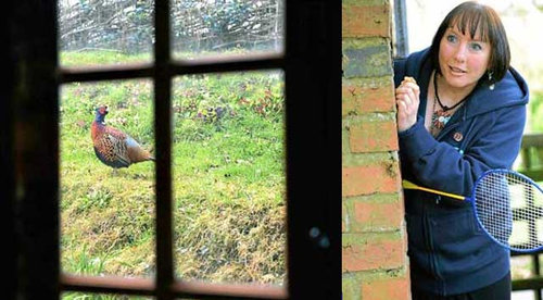 キジに襲われる女性01